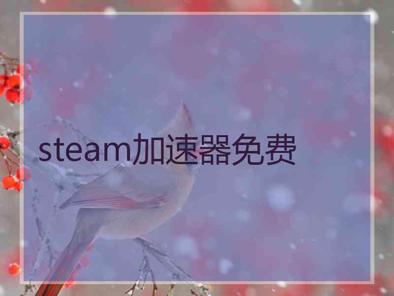 steam加速器免费