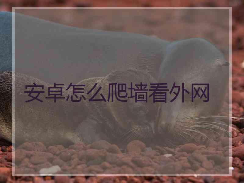 安卓怎么爬墙看外网