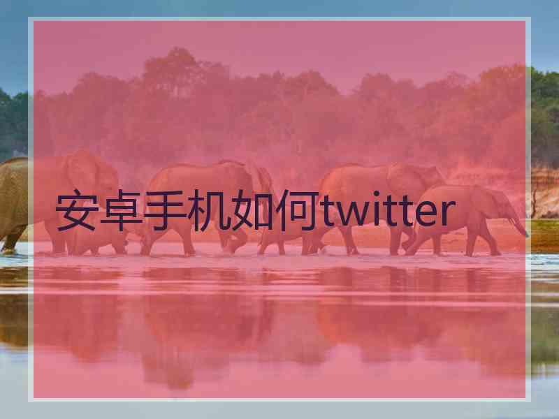 安卓手机如何twitter