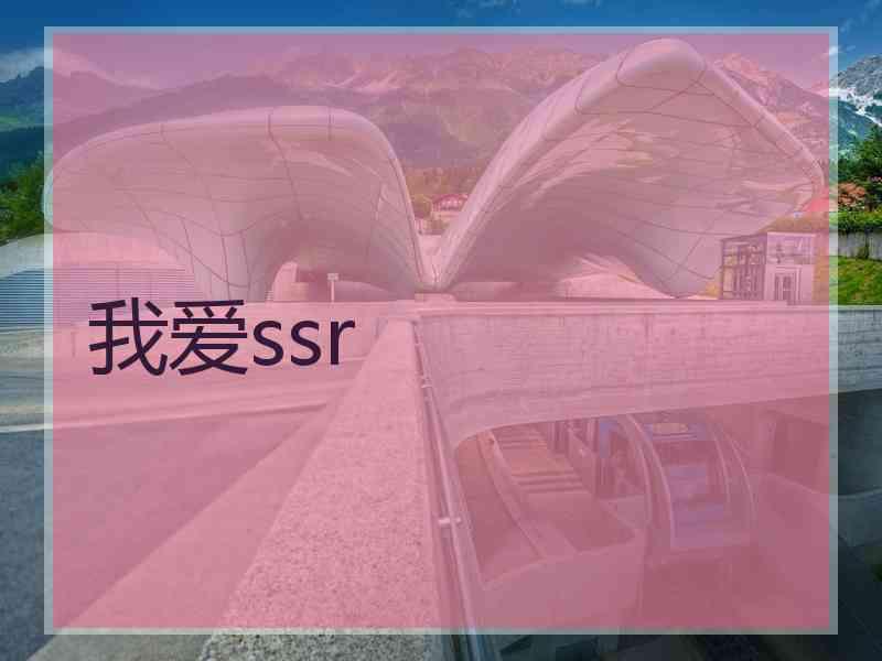 我爱ssr