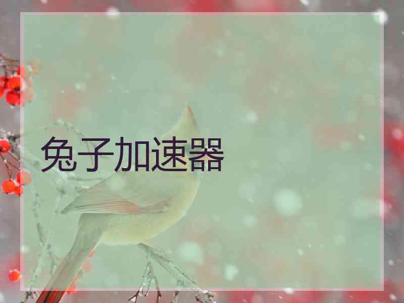 兔子加速器