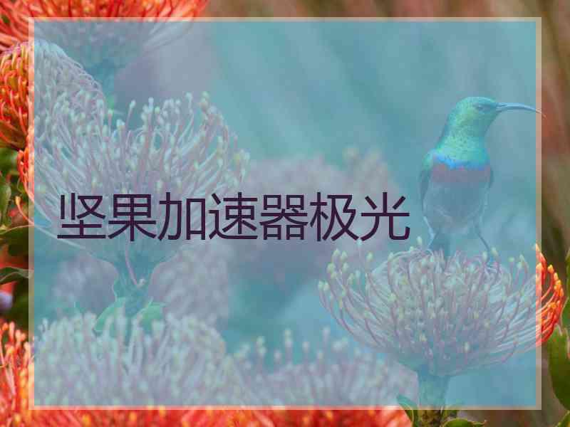 坚果加速器极光