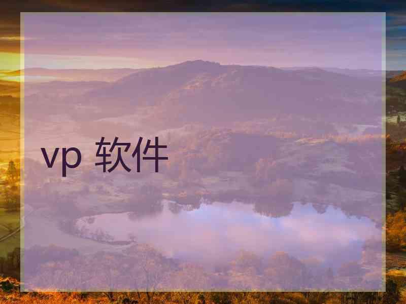 vp 软件