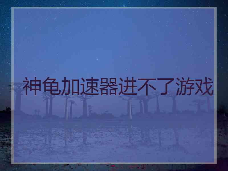 神龟加速器进不了游戏