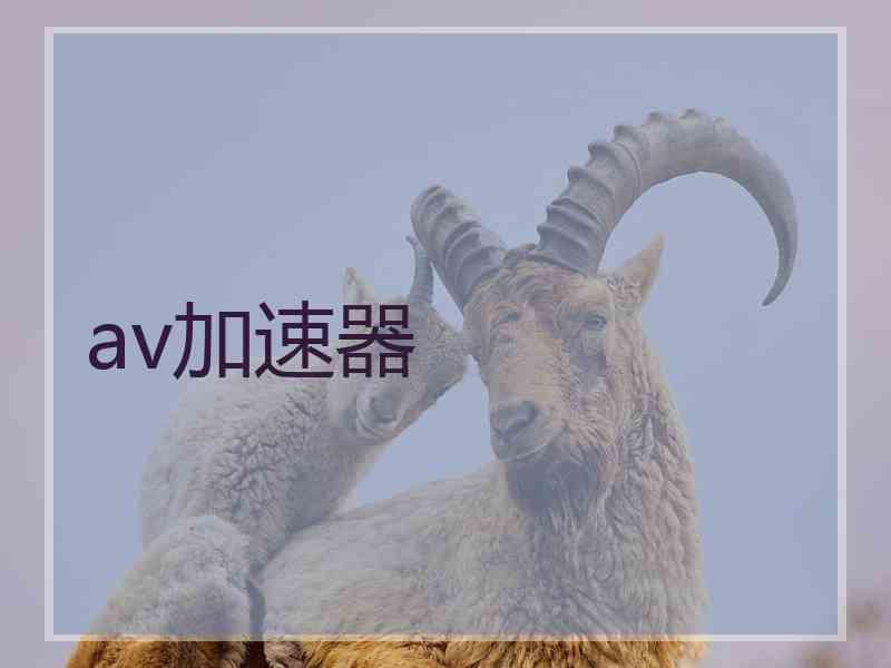 av加速器