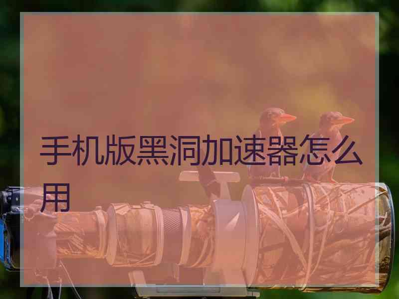 手机版黑洞加速器怎么用