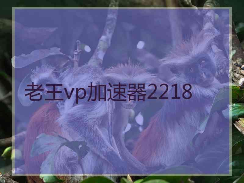 老王vp加速器2218
