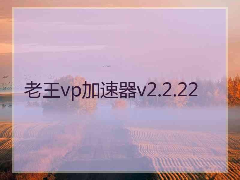 老王vp加速器v2.2.22