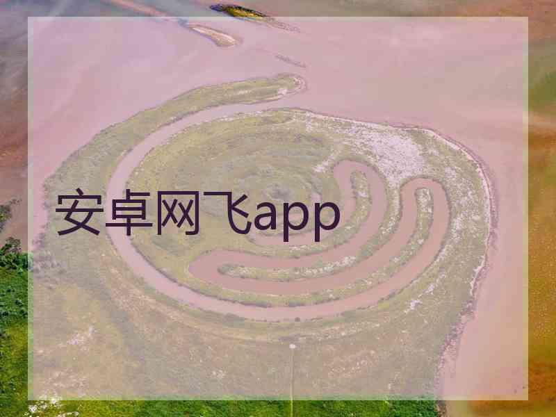 安卓网飞app