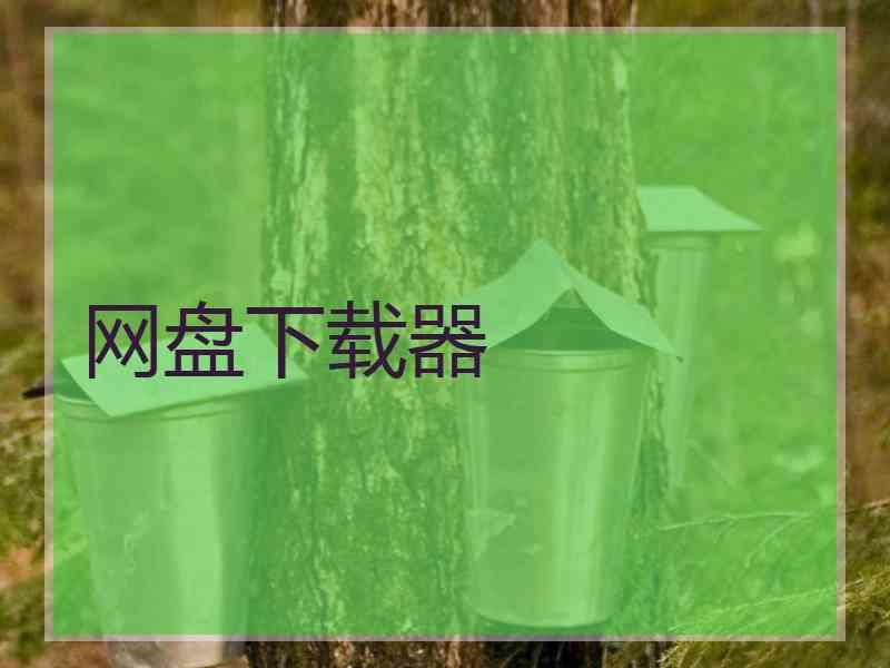 网盘下载器