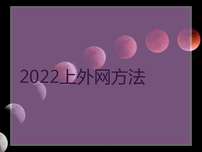 2022上外网方法