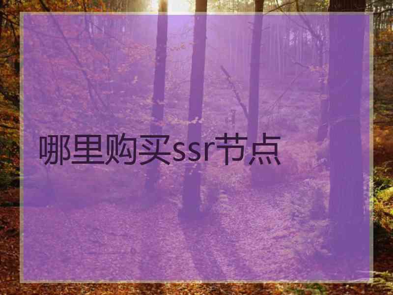 哪里购买ssr节点