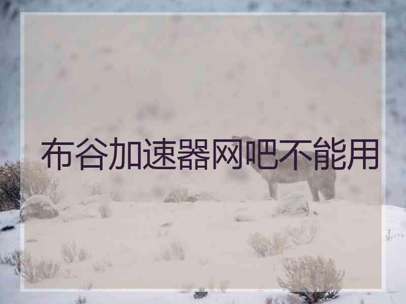 布谷加速器网吧不能用
