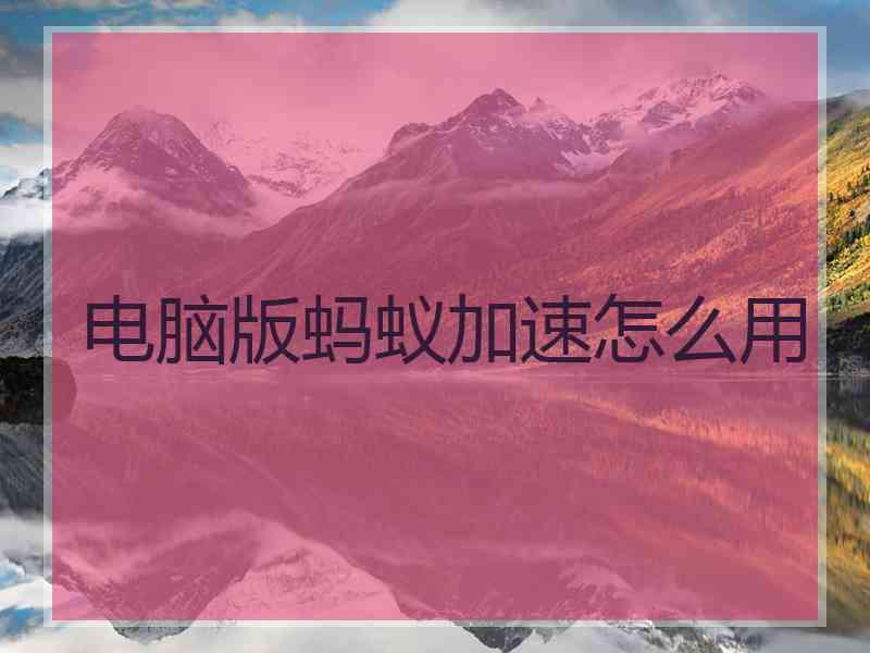 电脑版蚂蚁加速怎么用
