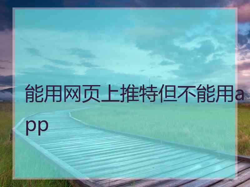能用网页上推特但不能用app