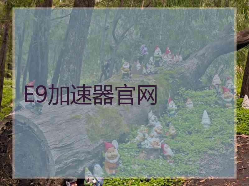 E9加速器官网