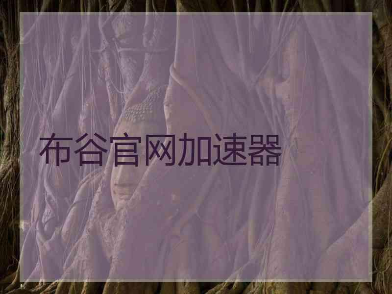 布谷官网加速器