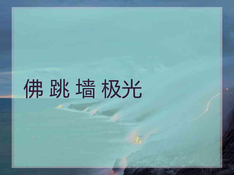 佛 跳 墙 极光