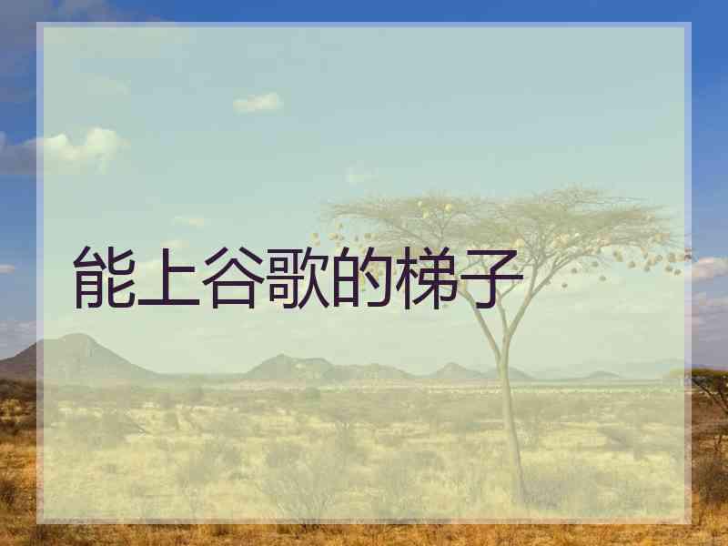 能上谷歌的梯子