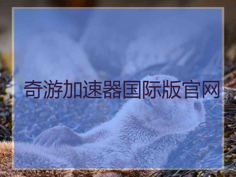 奇游加速器国际版官网