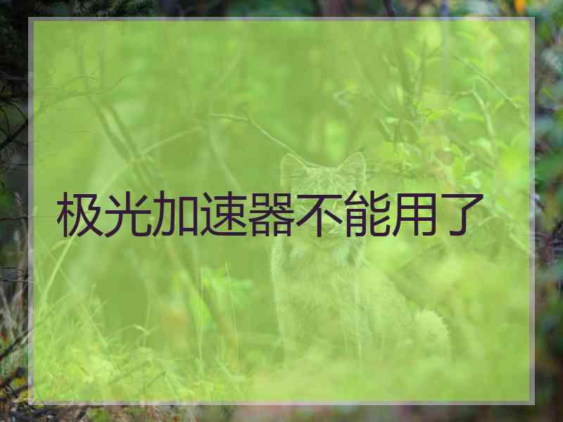 极光加速器不能用了