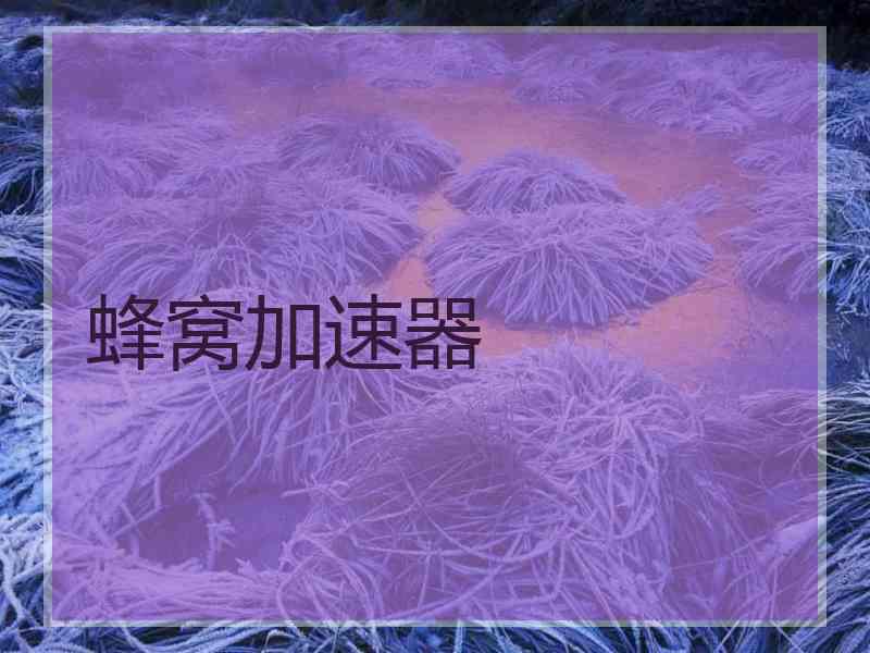 蜂窝加速器