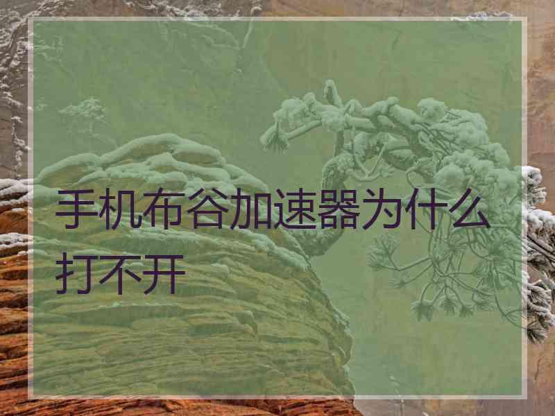 手机布谷加速器为什么打不开