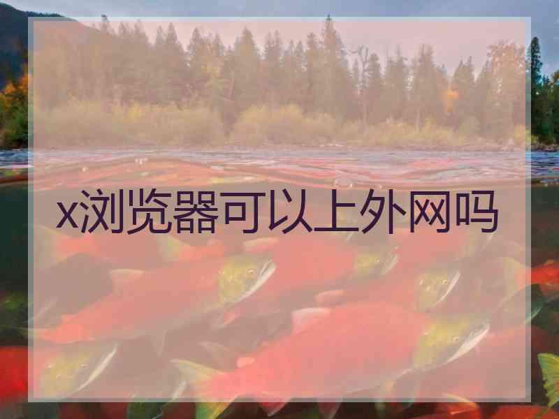 x浏览器可以上外网吗