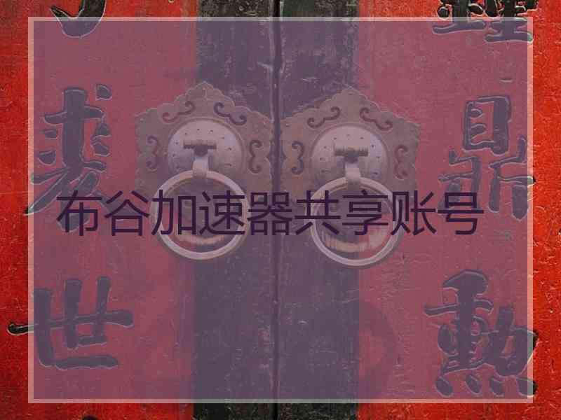 布谷加速器共享账号