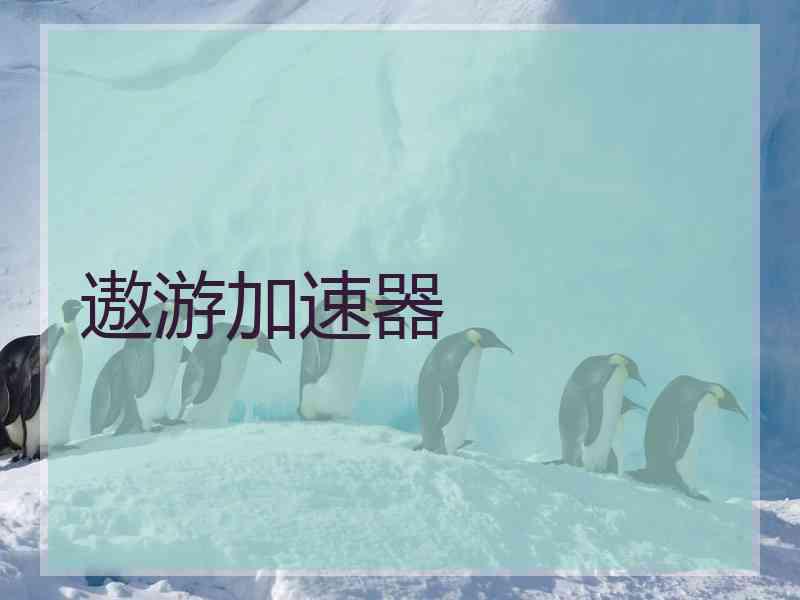 遨游加速器