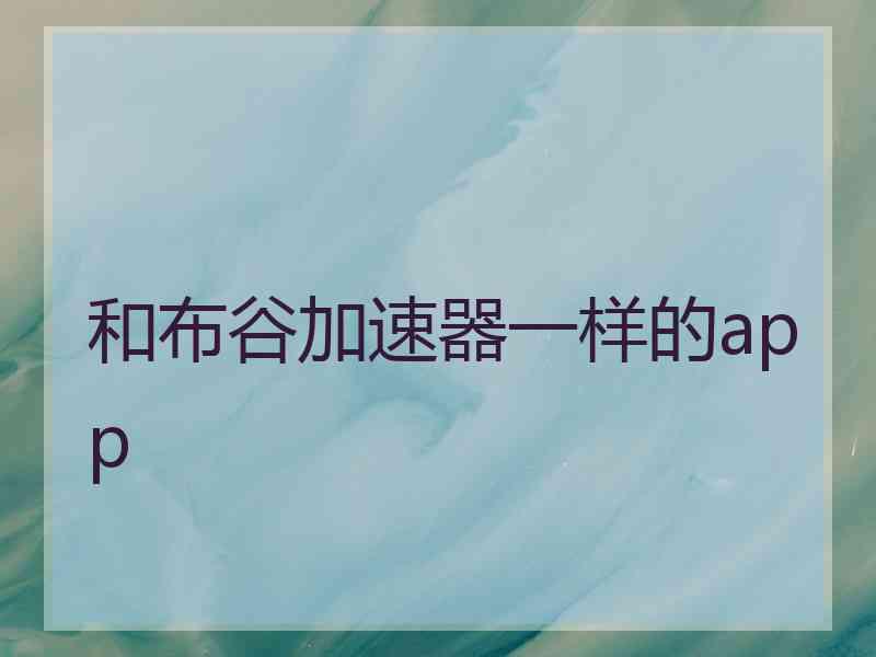 和布谷加速器一样的app