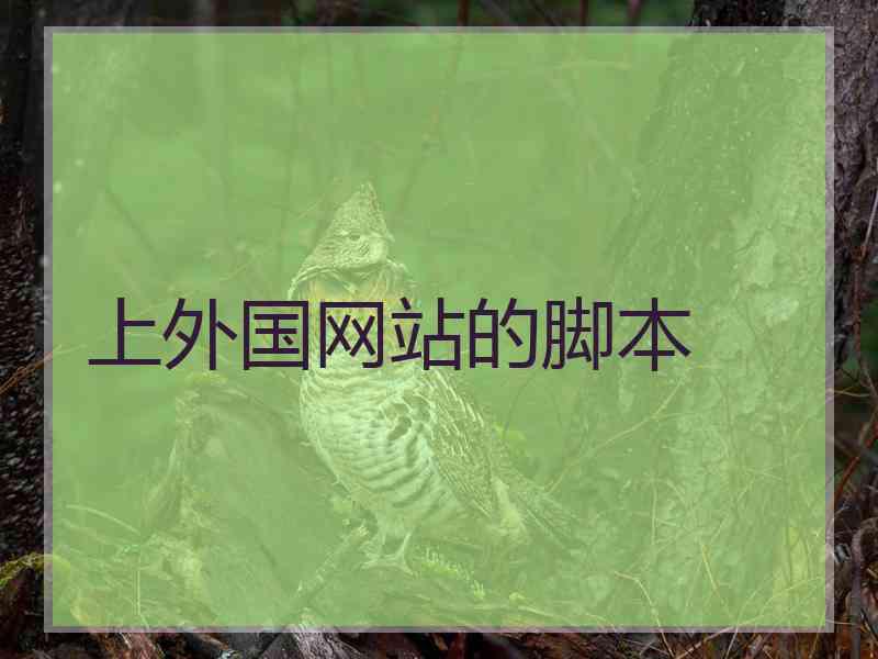 上外国网站的脚本