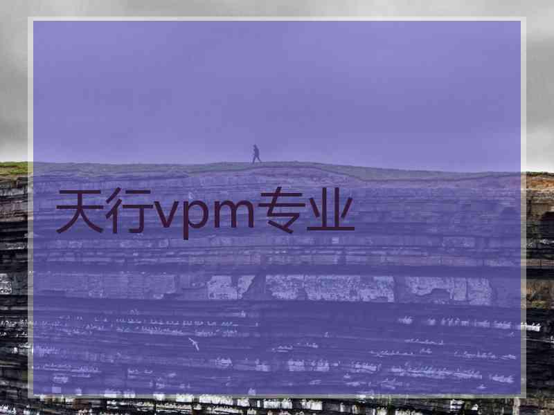 天行vpm专业