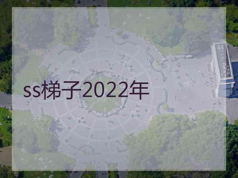 ss梯子2022年