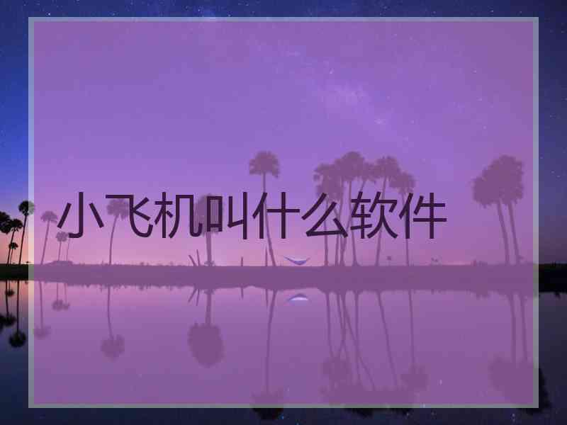 小飞机叫什么软件