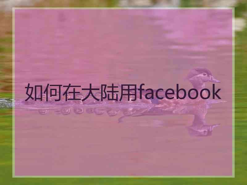 如何在大陆用facebook