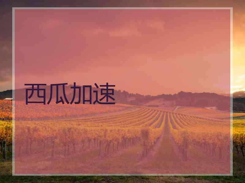 西瓜加速