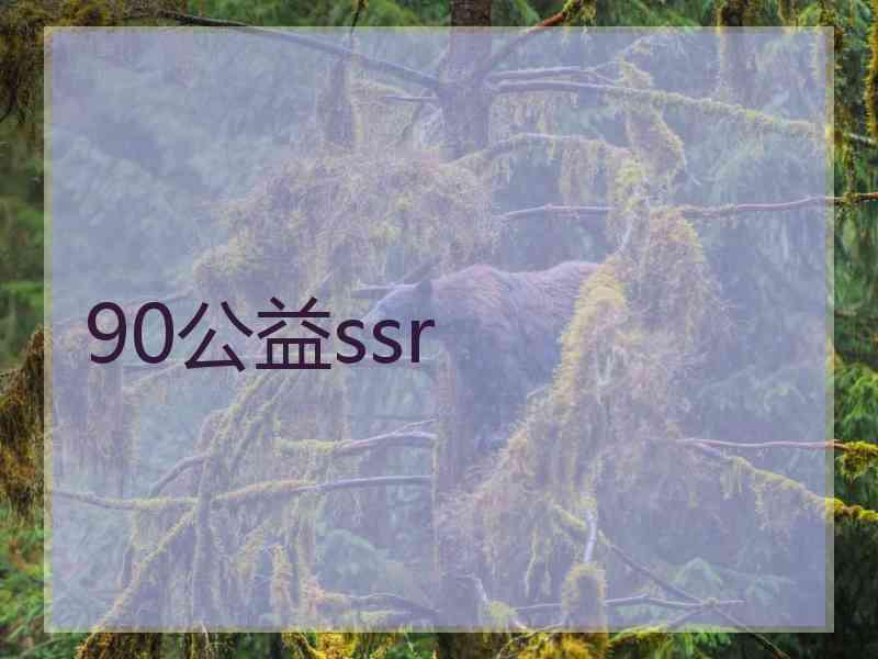 90公益ssr
