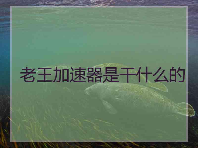 老王加速器是干什么的