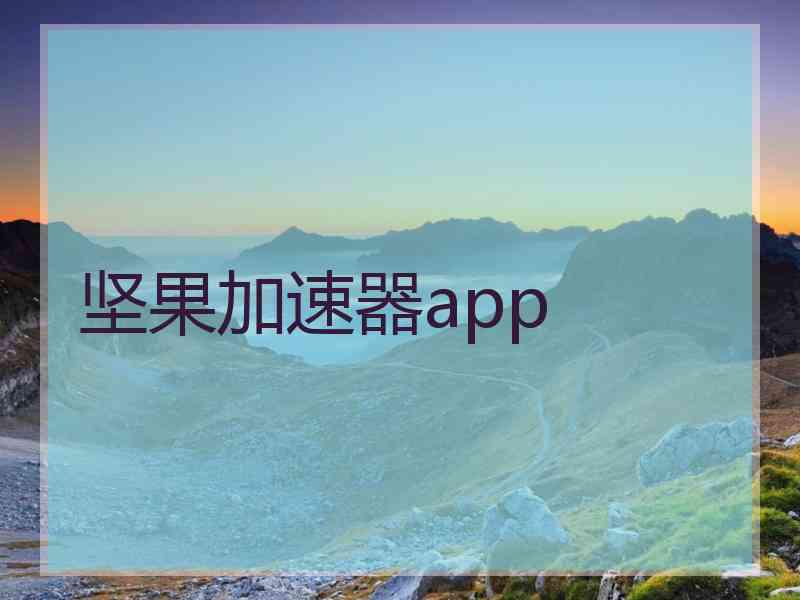 坚果加速器app