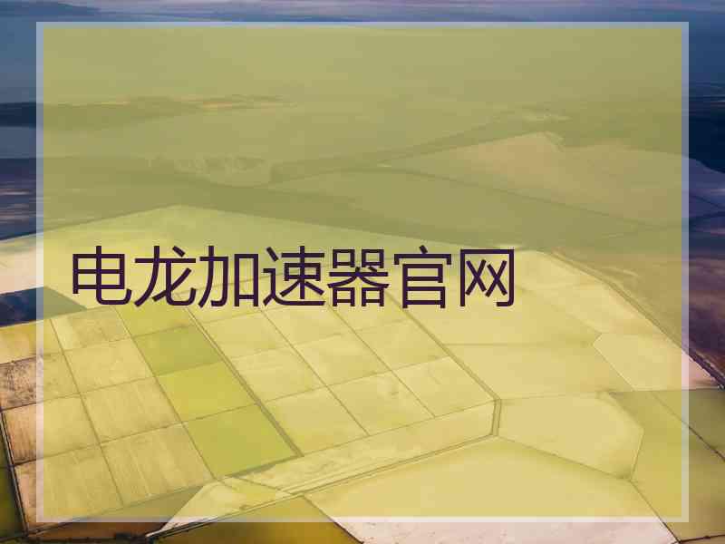 电龙加速器官网