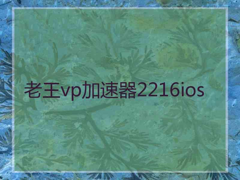 老王vp加速器2216ios