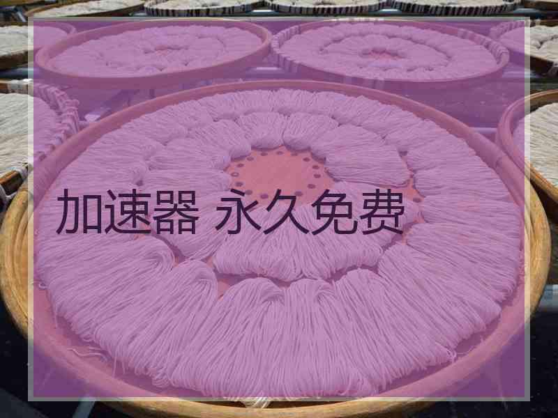 加速器 永久免费