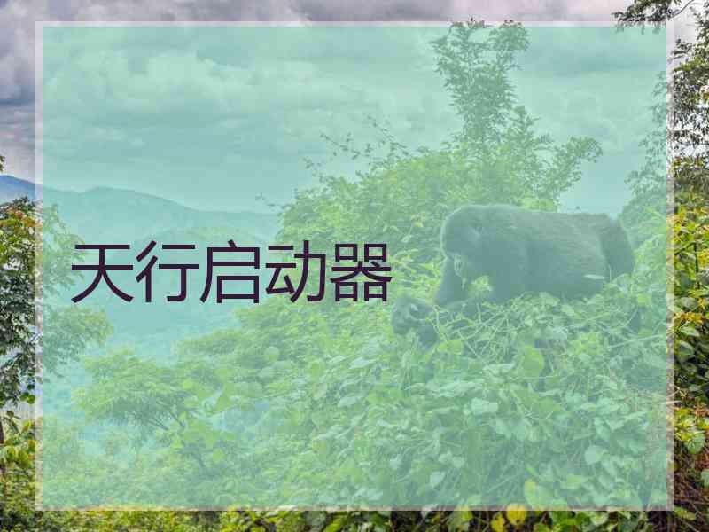 天行启动器
