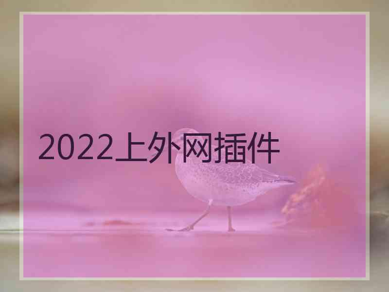 2022上外网插件