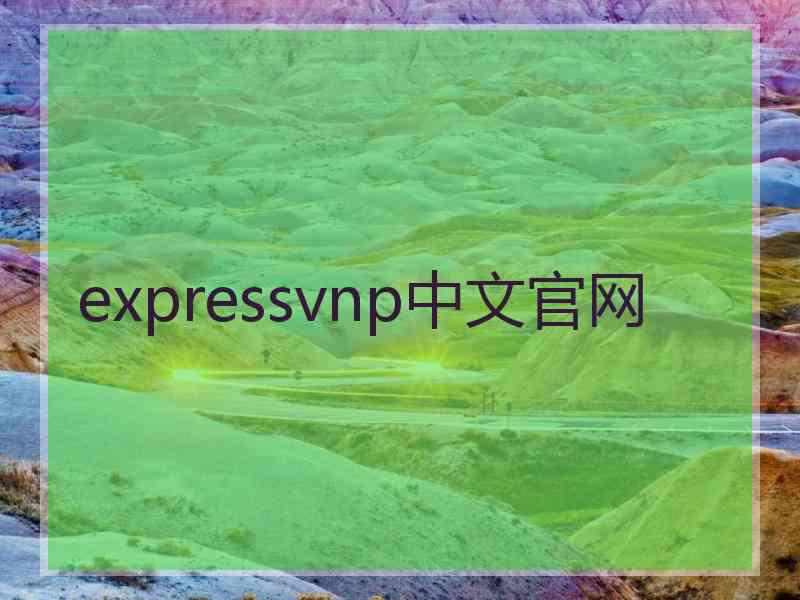 expressvnp中文官网