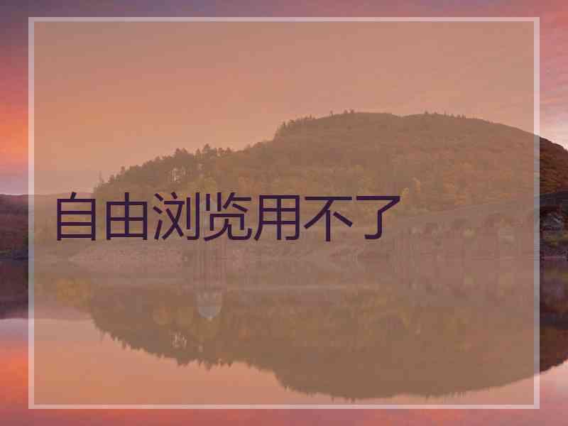 自由浏览用不了