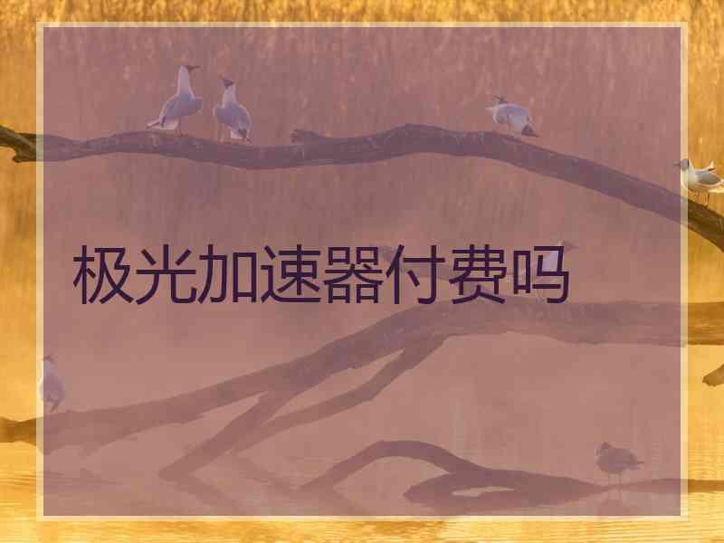 极光加速器付费吗