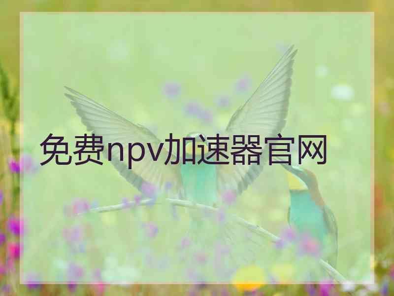 免费npv加速器官网