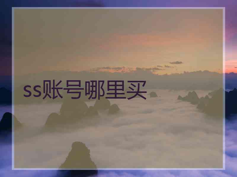 ss账号哪里买